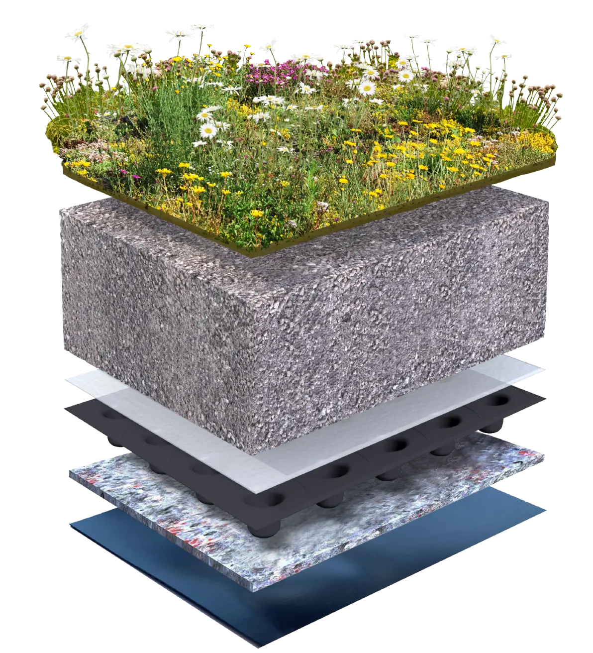 Biodiverse Green Roof