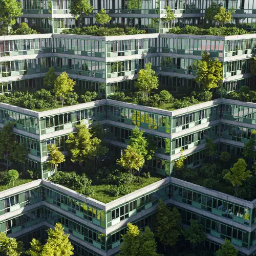 How Can a Green Roof Be Beneficial in the City