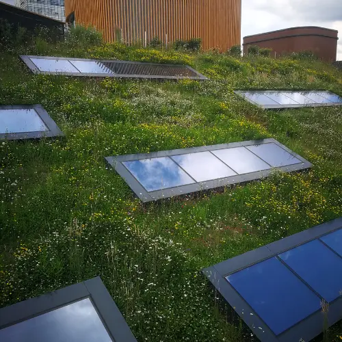 Slopping green roof