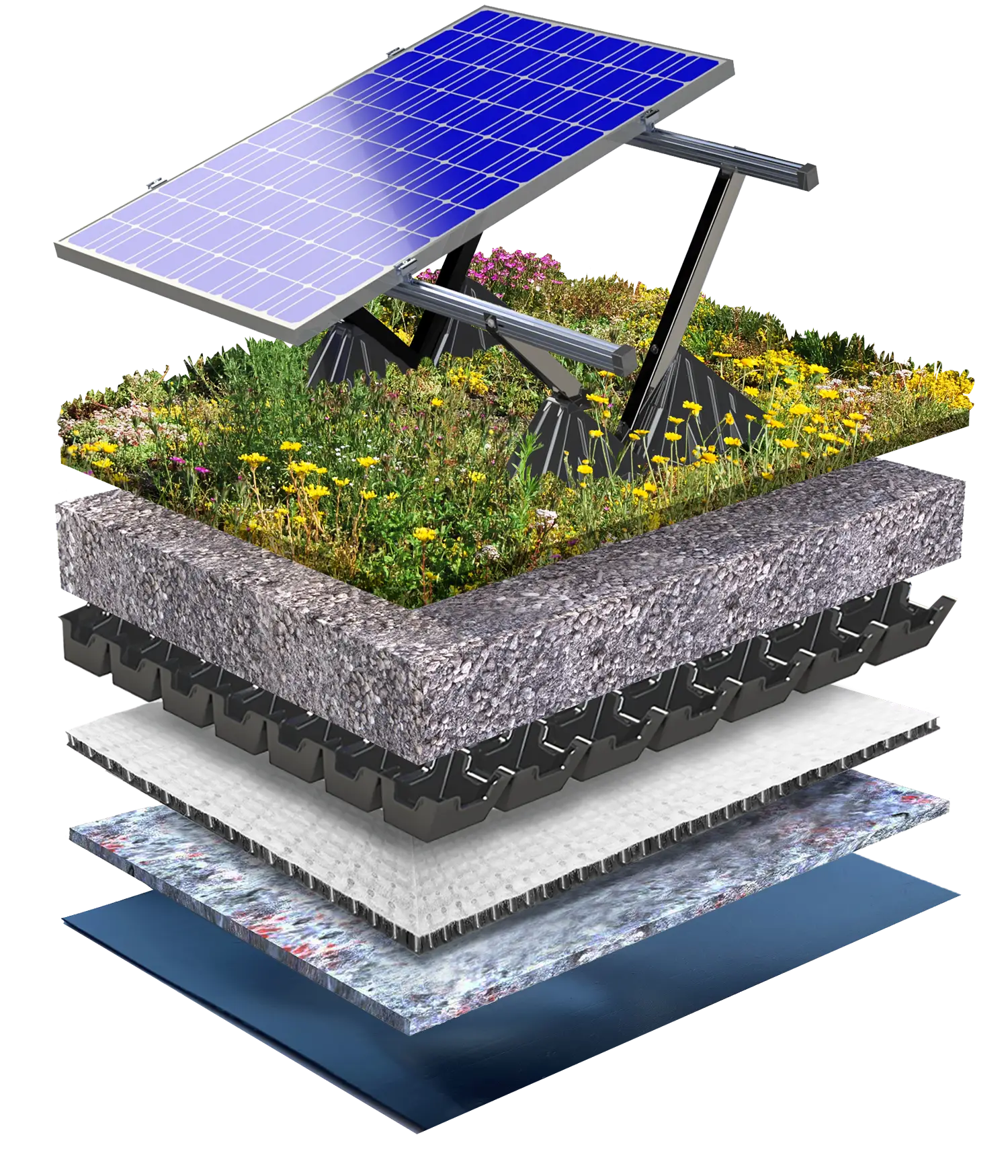 Solar Biodiverse Roof