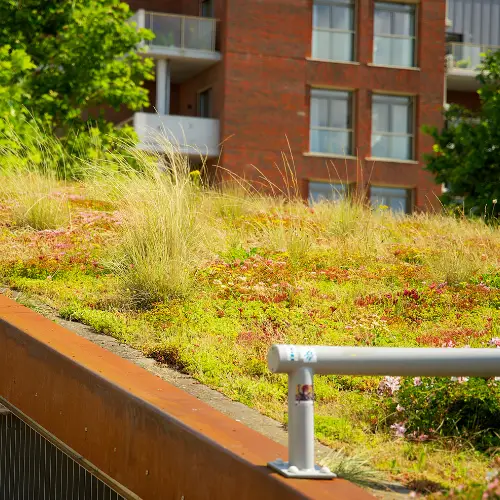 Traditional green roof system