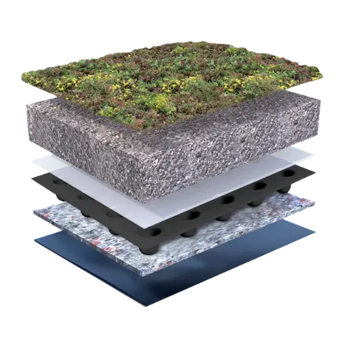 Traditional sedum roof