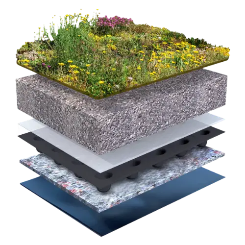 biodiverse sedum herbs roof