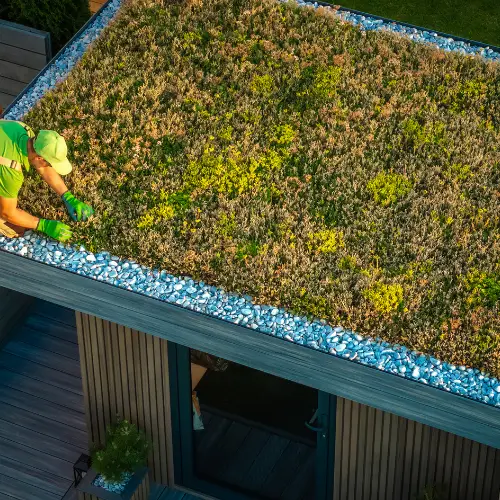 green roof on types of roofing materials