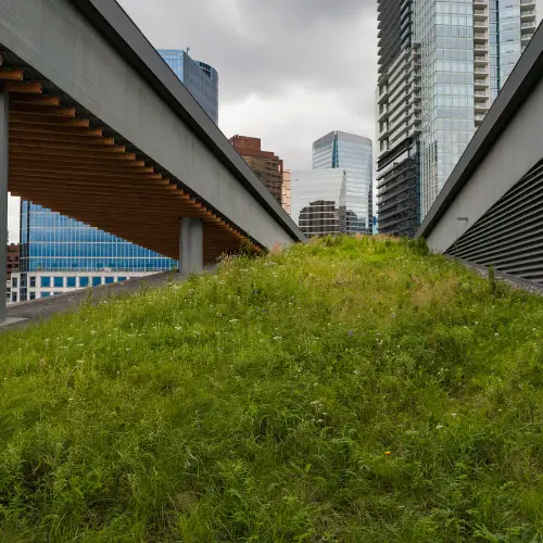 green roof systems