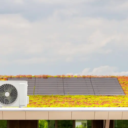 green roof with solar