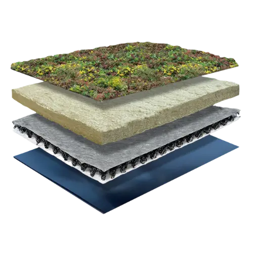 lightweight sedum roof